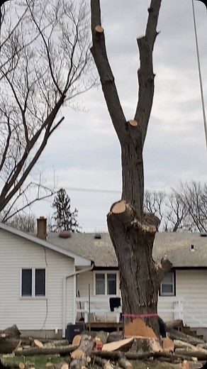 Anthony Alexander on Reels