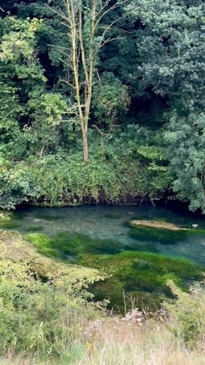 Rachel 🧚‍♀️ on Instagram: "The peace of a rainy day . . . . #pluviophile #rainaesthetic #bluewater"