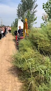 "Small Chinese Tractor Effortlessly Clears Bushes" #TractorPower #LandClearing #EfficientMachinery #AgriculturalInnovation #ChineseTechnology | DealHive