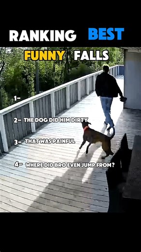 Ranking best funny falls #funny #memes #comedy #fall #shorts #fyp #funnyfalls