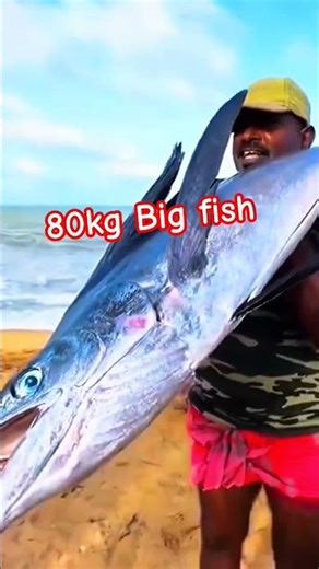 Sailfish Are Master Hunters |Planet Earth |My SAB chatch & cutting Earth