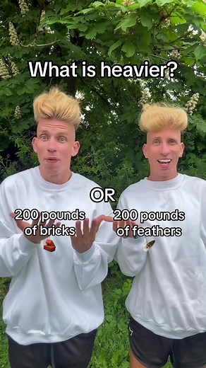 da bricks or feathers | what is heavier bricks or feathers
