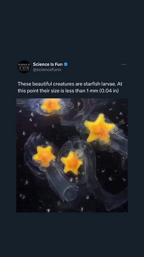 5.9K views · 227 reactions | Science Is Fun For Everyone on Reels | Facebook