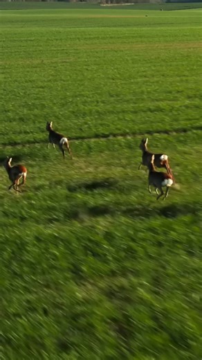 Explore over 140 works created with the planet in mind at the Design Museum's major exhibition, More than Human. Book your tickets. | Design Museum | Facebook