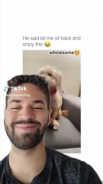 Happy Birthday Dog Gets Heartwarming Surprise