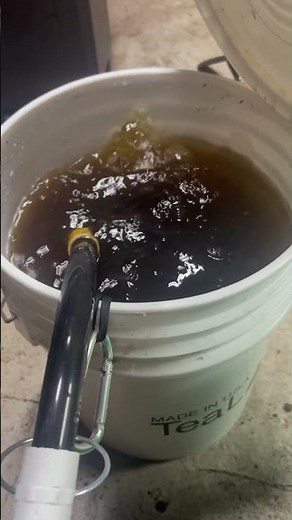 Making worm tea 🪱