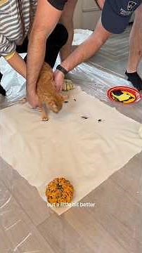 DIY Paw Print Art with Cats