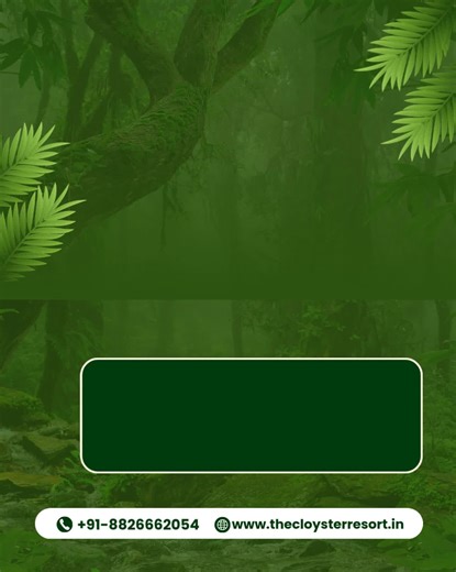 The Cloyster Resort And Spa on Instagram: "Where luxury slows down and nature takes over. Wake up to calm views, unwind by the infinity pool, indulge in fine dining, and let every moment feel effortlessly premium. Your perfect escape into greenery starts here. Book your stay today. 🌿✨ #LuxuryInNature #TheCloysterResort #NatureMeetsLuxury #PeacefulGetaway #ResortLife #PremiumStay #EscapeTheCity"