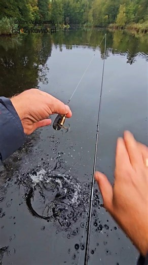 Błystki obrotowe Dam Effzett Standard – klasyki na szczupaki. ✨ Kształt paletki i technologia produkcji poparte są doświadczeniem milionów sprzedanych sztuk na całym świecie. 🌍 Odpowiedni balans pomiędzy korpusem a paletką gwarantuje niezwykle dalekie i precyzyjne rzuty. 🎯 👉https://haczykowo.pl/obrotowki/36676-dam-effzett-standard-4-10g-silver-obrotowka-4044641014428.html •••••••••••••••••••••••••••••••••••••••••••••• 🏷 ZAPRASZAMY NA ZAKUPY 🏷 •••••••••••••••••••••••••••••••••••••••••••••• �