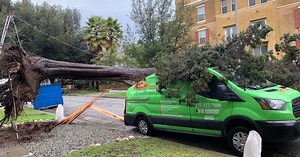 Crews working to clear downed trees after powerful winter storm