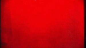 FLORICIENTA - Capítulo 144