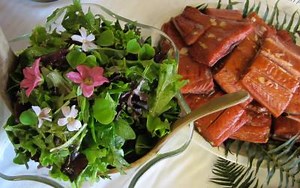 Native Plants & Foods Story Map