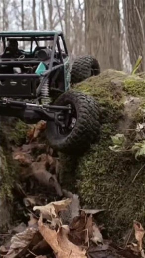 just doing 4ws buggy things