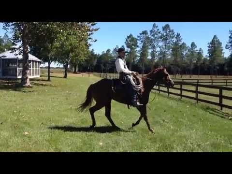 Quick Tip On Stopping Your Horse