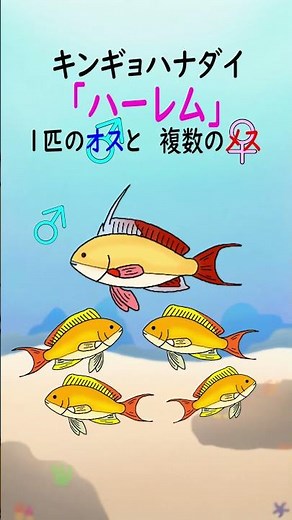 【1分アクアリウム/海の生き物・魚の生態解説】魚の性転換について #shorts