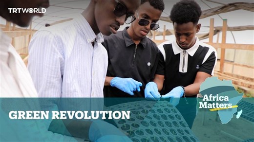 9.4K views · 112 reactions | With help from Türkiye's TIKA and IHH foundations, Somalia has turned to greenhouse farming to grow crops more reliably after years of droughts and floods. Watch the full episode of Africa Matters: https://trt.world/c9s3 | TRT World | Facebook