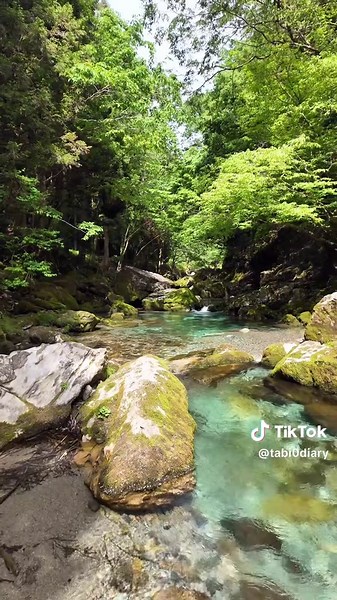岐阜の美しい伏流水「円原川」の絶景スポット