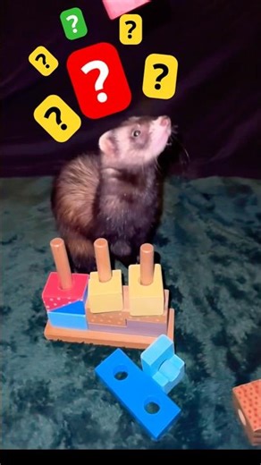 “Curiosity” Economic Factors