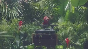 728K views · 4.4K shares | PRE-ORDER MY ALBUM HERE...