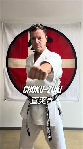 Master the power of Choku-Zuki. Precision beats power. 🥋🔥 #Karate #Shotokan #karatekolding