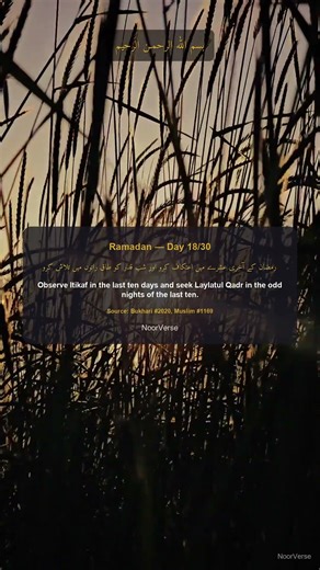 Ramadan Day 18 | Don't Miss This Blessing — Daily Ramadan Reminder #Shorts