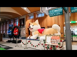 【冬の朝の秋田駅】JR奥羽本線 普通弘前行きに乗る！ Akita