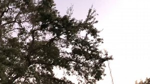 🇺🇸 SUPER BOWL LV FLYOVER 🇺🇸 | Here's a view of the three different Air Force bombers that flew over Raymond James Stadium. | Spectrum Bay News 9