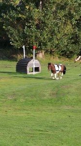 *Adds to 2026 Kentucky Three-Day Event List ✍️* (via @pontushugosson) #horsejumping #showjumping #eventing #cutehorse #equinelove | Defender Kentucky Three-Day Event