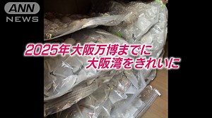 1.1M views · 11K reactions | 「使い捨てカイロ」で大阪湾きれいに？驚きの利用法 https://news.tv-asahi.co.jp/news_society/articles/000205490.html | テレ朝news | Facebook