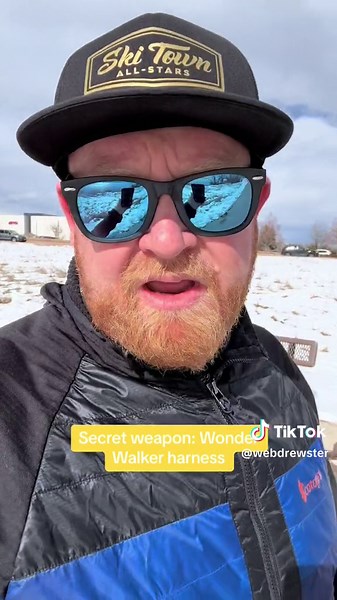 Teach Your Dog to Walk on a Loose Leash with Wonder Walker Harness