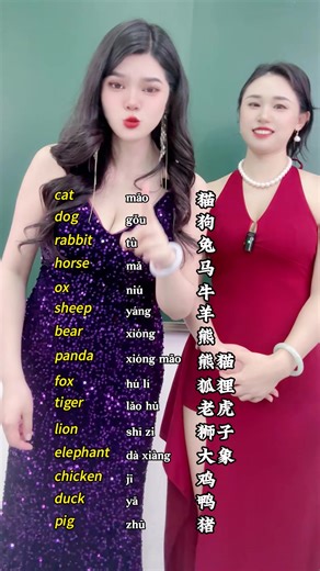 Animal in Chinese-If it is helpful to you, please give me a thumbs up. Thank you❤️#china #chinese #中文 #LanguageLearning #viviteachchinese