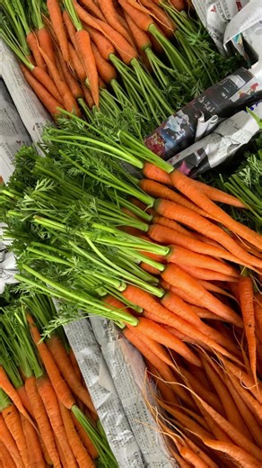 เติมวิตามินให้ร่างกาย✨ ด้วยเบบี้แครอทPD🥕🥕 | P.D. Import Export #pd #ตลาดไท