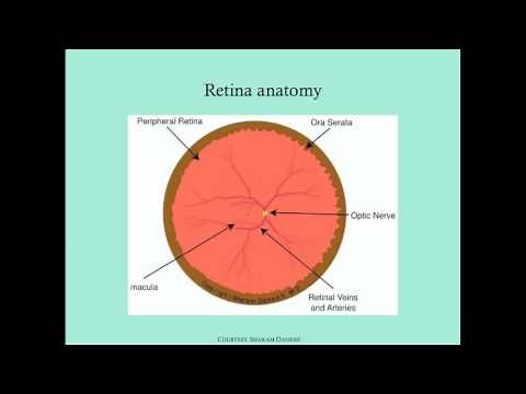 Retinopathy of Prematurity - CRASH! Medical Review Series