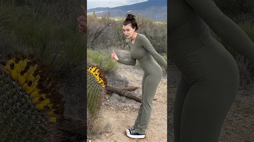 Desert mishap stings during Saguaro National Park visit