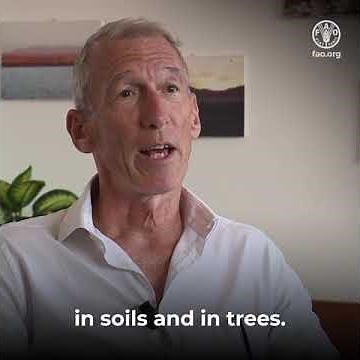 Better land use needed to tackle climate change, safeguard food security and conserve biodiversity