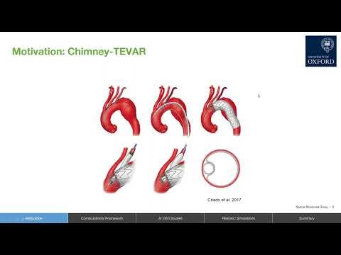 Leaking Gutters Explained: Engineering Tools for Endovascular Device Analysis