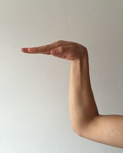 Snake Kung Fu - Alchetron, The Free Social Encyclopedia