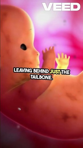 Humans USED to Have Tails?! 😲🐒