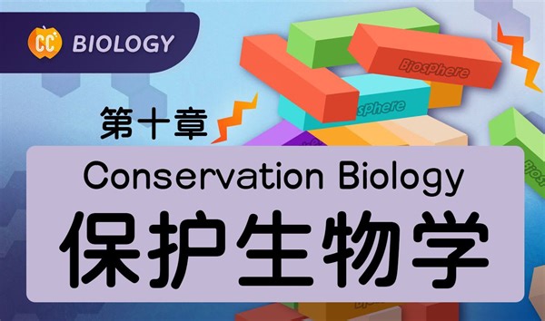 【十分钟速成课：生物学】第10集，保护生物学（中英字幕）Crash Course Biology #10