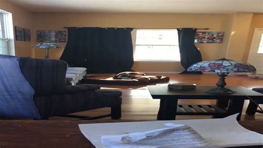 Caught Red-Handed: Dog Humping the Bed Gets Called Out
