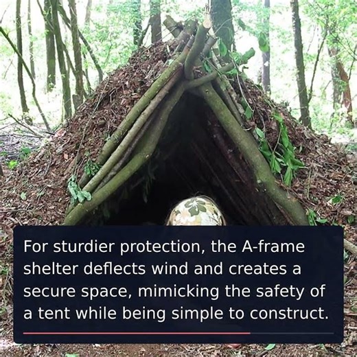Mastering Survival Shelters: Your Ultimate Guide