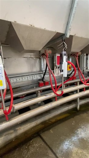 Comprehensive Dairy Farm Management Techniques