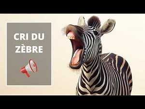 Cri du Zèbre - Le Zèbre qui Hennit - Cry of the zebra 🦓🔊