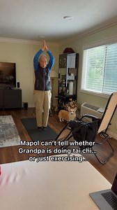 Maple is putting her big corgi brain to work, trying to figure out if Grandpaw is doing Tai Chi or just exercising. She’s taking her time, thinking it through carefully, especially after the last time she acted too quickly and got in trouble. She’s reminding herself: fast movements = good, slow movements = Tai Chi = BAD. | Maple and Morty Corgis