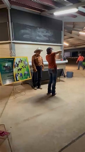 ~🔥~ WINNER ~🔥~ 'WESTERN DRESSAGE WEEK' Tonight the winning ticket was draw in the service to the remarkable stallion ROYALLE HEART THROB. CONGRATULATIONS ~ Angela Thomas 🎉👏🎊🎈 A heartfelt thank to Brian & Kayleen Sutton for your generosity in making this possible ❤️🫶👏 | Western Dressage Association of Qld