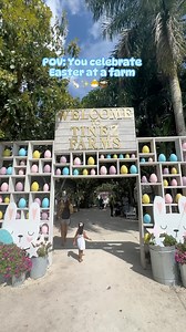 17K views · 24 reactions | Celebrate Easter weekend at a farm ✨凌...