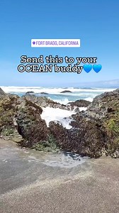 Beautiful days ahead this week in FORT BRAGG!! Who would you like to walk on the beach with? Send this video to them and get your trip booked💙 #visitcalifornia #visitmendocinocounty #fortbraggcalifornia #theoceaniscallin | Visit Fort Bragg, California