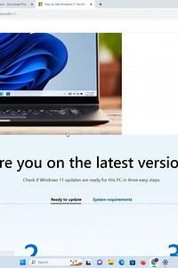 Windows 11 Pro Price: This Much