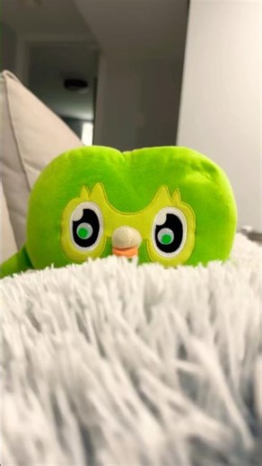 Duo Owl Funny Viral Chaos IRL 🦉 Absolute Madness Unleashed