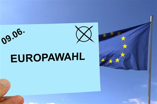EU-Wahl: Keine 5-Prozent-Hürde - diese Kleinparteien haben eine Chance